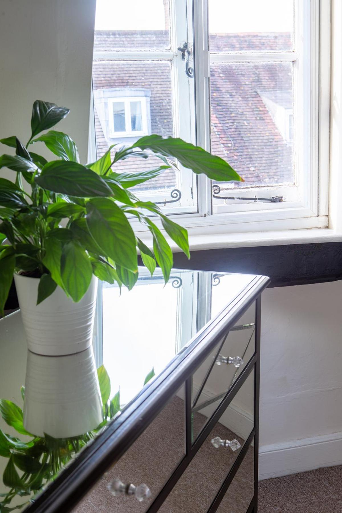 The Hideaway, Lovely Cosy Place In Blandford Forum, Dorset Ngoại thất bức ảnh